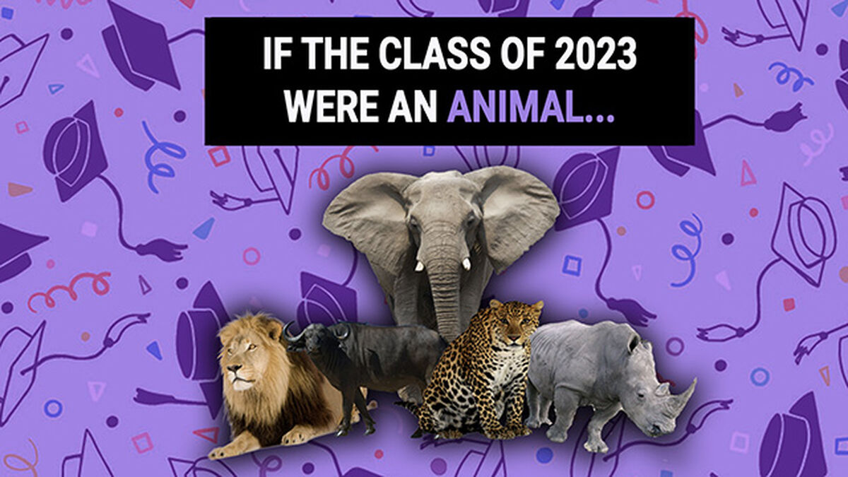 If the Class of 2023 Were A... image number null